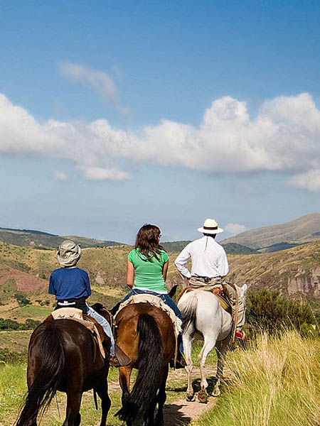 disena-experiencia-en-hotel-en-la-rioja-con-encanto-caballo disena-experiencia-en-hotel-en-la-rioja-con-encanto-caballo