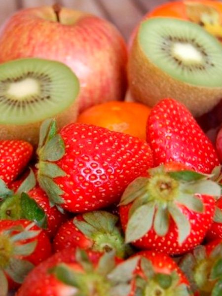 disena experieriencia hotel encanto rioja fruta disena experieriencia hotel encanto rioja fruta