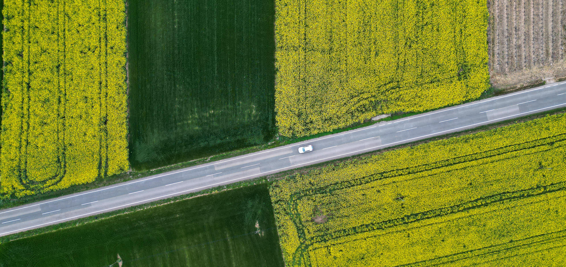 planes encanto san millan cogolla rioja que ver cab